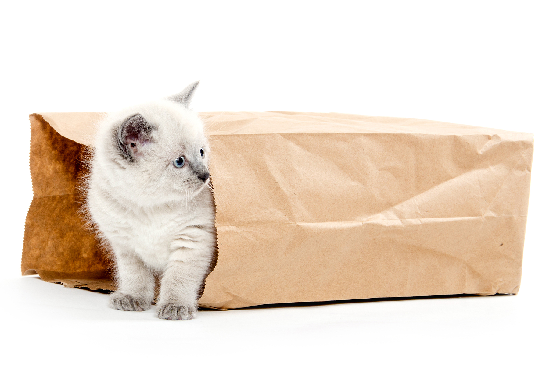 16-03-Top-3-redenen-om-IE-rechten-te-checken