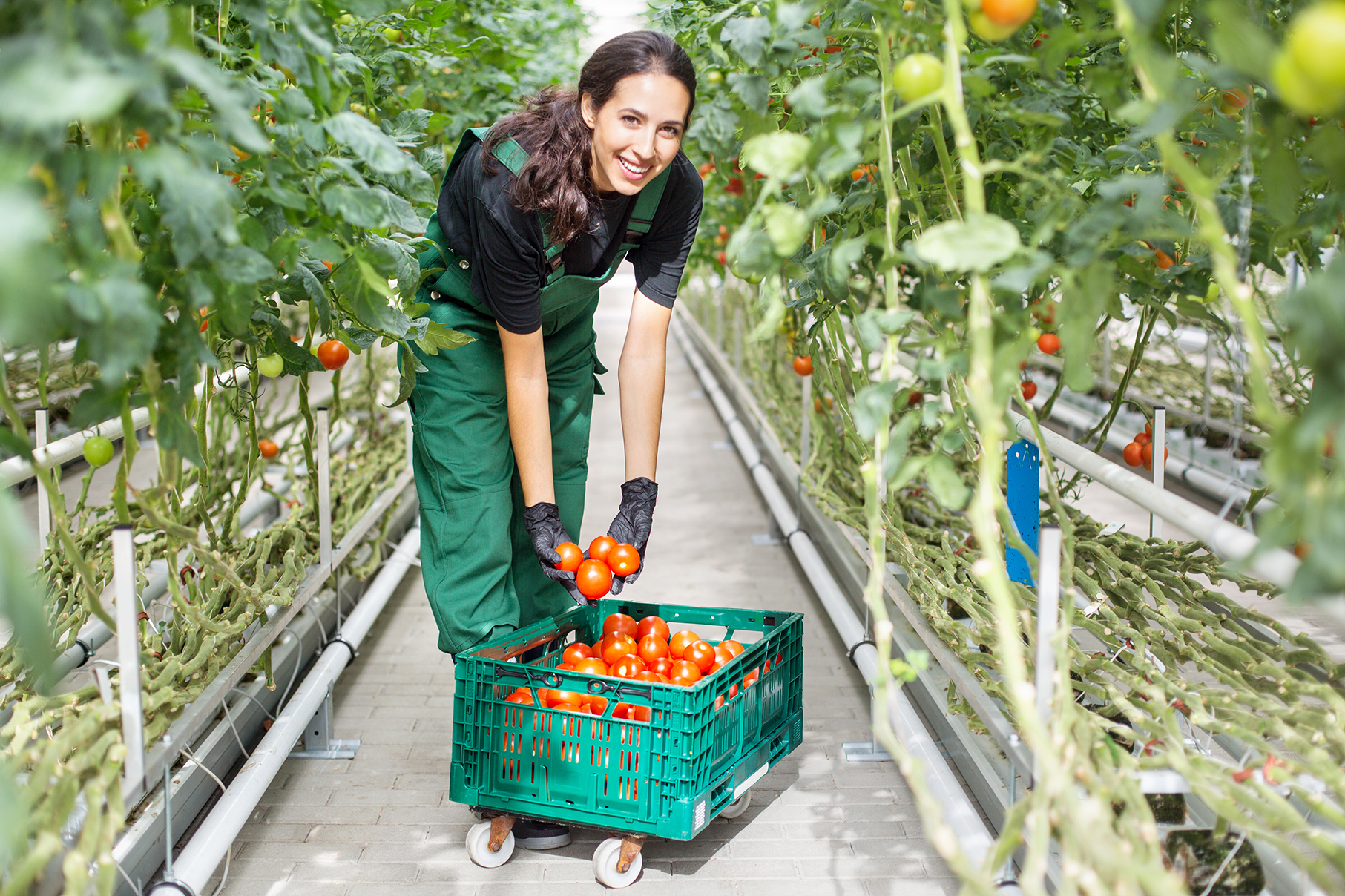 17-07-Geblokkeerd-door-de-copy-cat