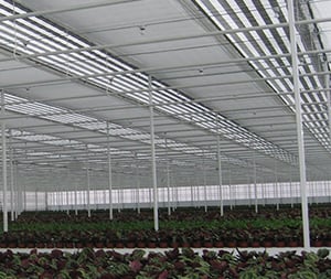 Ruud Vlottes, Eerbetoon aan de uitvinder