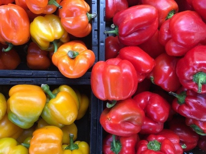 Briljante beschermingsstrategie-1