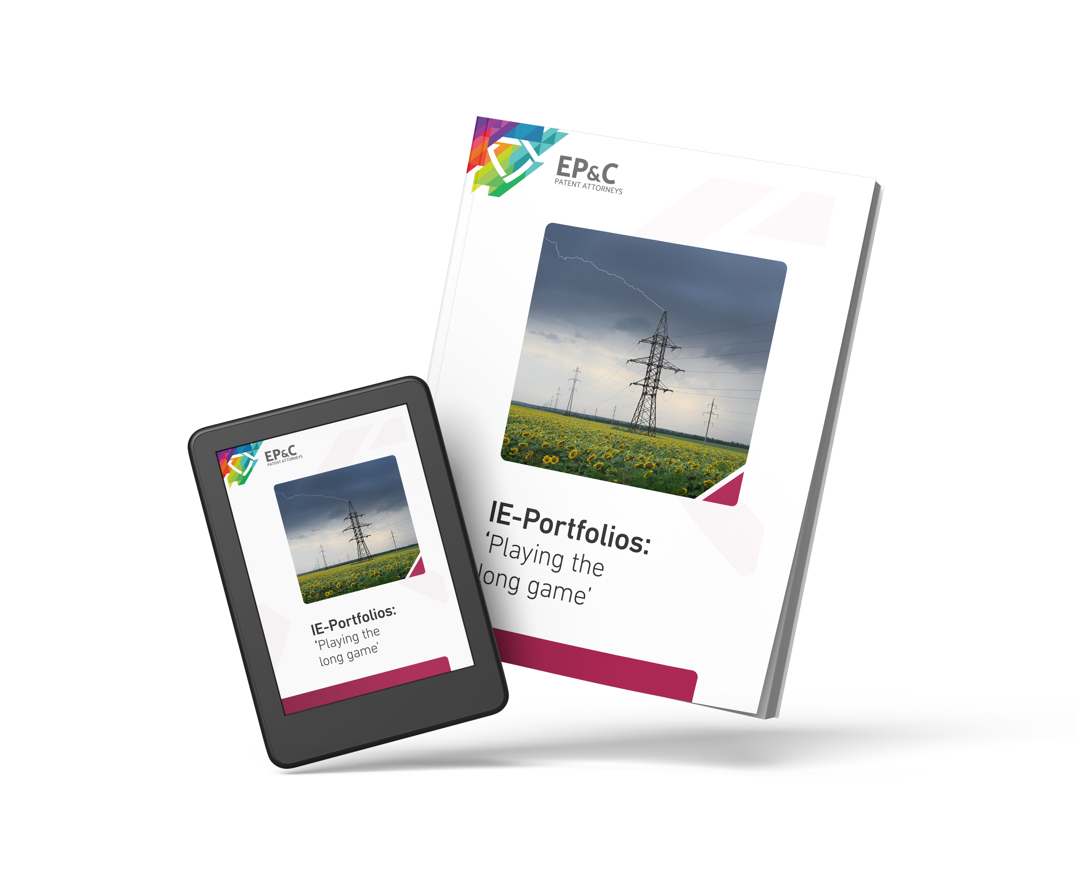 IE Portfolios - Playing the long game cover