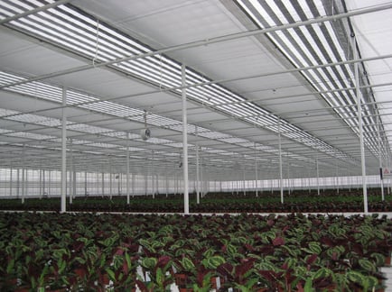 schermen Ruud Vlette