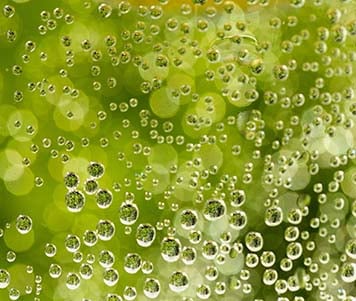 Blog | From dew making machines to moisture